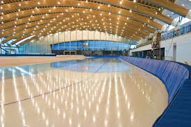In 2019, the company reported a net sales revenue increase of 19.88%. Richmond Olympic Oval