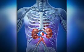 Kami bincang topik pemindahan buah pinggang. Bernama Rising Kidney Disease Trend Worrying Say Experts