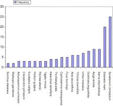 Image result for Achyrospermum schimperi