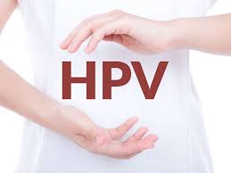 Nearly everyone will be infected in their lifetime. O Que E Hpv 26 Perguntas Frequentes Sobre Esta Doenca