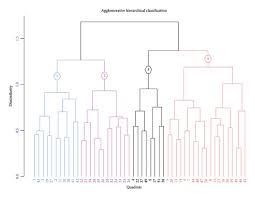 Image result for Scepocarpus hypselodendron