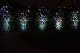 Pin By Sesco Lighting Inc On Rgbw Outdoor Lighting Dmx Exterior Lighting In Ground Lights Pathway Lighting