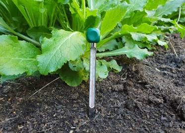 Measuring soil temperature prevents you from planting seeds in ground that is too cold for germination, AI generated