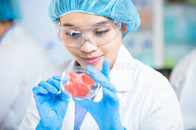 Food scientist charles spence says flavours develop after a night in the fridge and many dishes benefit other lives: 36 389 Food Science Photos Free Royalty Free Stock Photos From Dreamstime