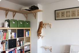 Diy Katzentreppe Aus Regalbrettern Selber Bauen Another Girl S Beautycase Katzen Treppe Katzentreppe Fensterplatz