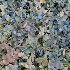Bulk buy dried flower heads online from chinese suppliers on dhgate.com. Blue Fd Hydrangea Petals 30 Cups Flower Girl Petals Wholesale Flowers Petals