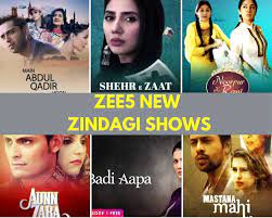ZEE5 brings Zindagi shows to cool your Summer - MommyShravmusings