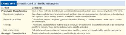 Microbiology A Human Perspective Chapter 10 Identification And Classification Of Prokaryotes Flashcards Quizlet