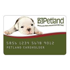 Check spelling or type a new query. Dressbarn Credit Card Login Make A Payment