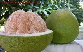 Lihat resep ayam versi hemat ini di cookpad hebatdiki. 21 Arti Mimpi Tentang Buah Jeruk Bali Menurut Islam Primbon Buku Mimpi