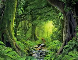 Image result for wallpaper