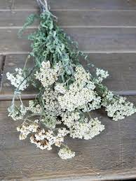 Pin By Two Ponds Farm On Dried Flowers And Herbs Dried Flowers Rustic Flowers Flowers Bouquet