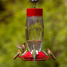 Designed to beautifully imitate white flower blossoms found in nature. More Birds Deluxe Hummingbird Feeder 33 Oz Petco