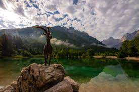 Rs), is a country located in central europe at the crossroads of main european cultural and trade routes. Une Semaine En Slovenie Une Magnifique Decouverte Blog De Voyage Tutoriels Photos Lifestyle