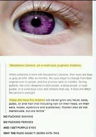 Free anime purple eyes wallpapers and anime purple eyes backgrounds for your computer anime purple eyes wallpapers. Images Of Black Hair Purple Eye Anime Girl