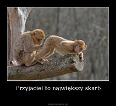 Święto zostało ustanowione w 2011 roku przez zgromadzenie ogólne onz w celu propagowania przyjaźni między narodami, kulturami i osobami fizycznymi. Miedzynarodowy Dzien Przyjazni Zobacz Najlepsze Memy Bialystok Nasze Miasto