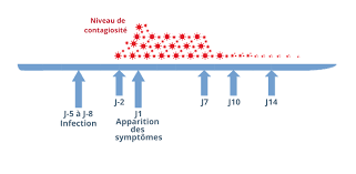 03 20 44 59 62. Coronavirus Et Covid 19 Inserm La Science Pour La Sante