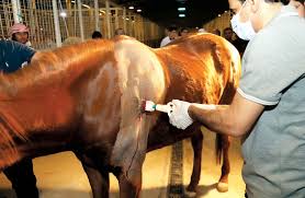 أفعال اعتداء جنسي فظيعة تُفجع الوعي