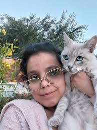 Can anyone donate food for cats in West Bay, Qatar?