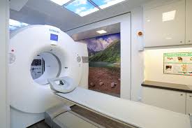 Pet Ct Scan In The Uk Vista Health