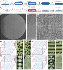 Candidates can also download the ips syllabus pdf for quick reference. 3d Microstructures Of Liquid Crystal Networks With Programmed Voxelated Director Fields Guo 2020 Advanced Materials Wiley Online Library