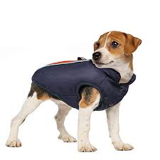 Rabbitgoo Manteau Chien Impermeable Pour Hiver Manteau M Polaire Moyen Chien Harnais Chien Hiver Reflechissant Avec Un T Manteau Pour Chien Harnais Chien Chien