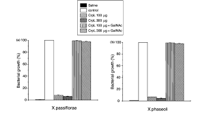 Image result for Crotalaria paulina