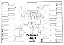 free six generation pedigree chart generation family