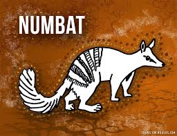 I don't care, if i see one i'll run! 37 Animals That Start With N