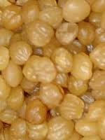 Image result for Ricinodendron