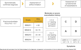 Image result for COPD Assessment Test