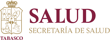 The original size of the image is 195 × 195 px and the original resolution is 300 dpi. Secretaria De Salud Del Estado De Tabasco Linkedin