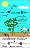 We need to form and precision. Dating In Archaeology The Canadian Encyclopedia