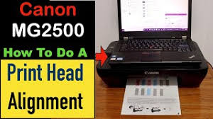In addition, the auto power on function automatically turns on the printer each time you send a photo or document to print. How To Setup A Canon Printer Mg2500