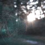 Image result for can you fix scratches on glass top stove