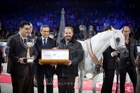 الزبير متخصص الأفراس في بطولة العالم أربع سنوات متتالية وأربعة ألقاب غالية Horses Fictional Characters Character