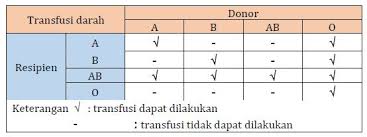 Plasma darah sebagian besar terdiri dari air yaitu 90% dan mengandung protein & bahan organik. Materi Komponen Darah Pada Manusia Mapel Biologi Kelas 11 Sma Ma Bospedia