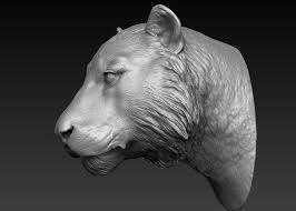 Zbrush Head 3d Model Turbosquid 1290596 Zbrush Anthro Cat 3d Model