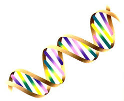 Transcription and translation are the two processes that convert a sequence of nucleotides from dna into a sequence of amino acids to build the desired protein. Genetics Transcription And Translation Owlcation