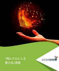 飛んで火に入る夏の虫 現象 こころの探検 夏の虫 虫 人間関係