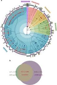 My results may not hold for other bands. The Mouse Gut Microbial Biobank Expands The Coverage Of Cultured Bacteria Nature Communications