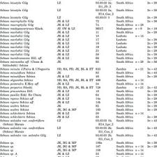 Image result for Sebaea sedoides