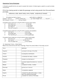 Papers Anatomy And Terminology Fa0ae Simple Anatomical Terms Worksheet Ewo Body Systems Worksheets Human Anatomy And Physiology Basic Anatomy And Physiology