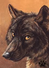 Nena kommt auf tour 2021 the mellow music. Black Wolf Fan Art Novocom Top