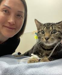 Being of Service: New York Animal Rescue Needs Your Advocacy