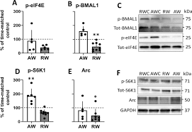 When the shifts are created, managers can either run the scheduling wizard to randomly assign an employee to each shift, or manually assign employees to each shift. Cognitive Function And Brain Plasticity In A Rat Model Of Shift Work Role Of Daily Rhythms Sleep And Glucocorticoids Scientific Reports