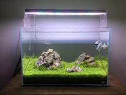 If you want to know more, read this article: Ada 45p Iwagumi Style Aquascape