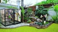 Building The Biggest Exotic Bird Aviary in my farm, Turning Garden into a  Beautiful Waterfalls!
