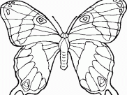 Keep your kids busy doing something fun and creative by printing out free coloring pages. Coloring Pages Of Animals Free Printable Coloring Pages For Kids
