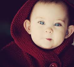 Sweet Babies — Laurel Sexton Photography